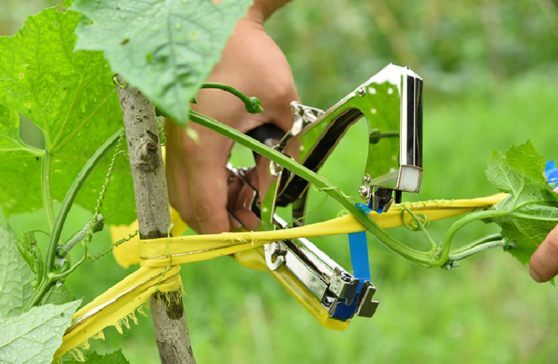綁枝機(jī)應(yīng)多加注意哪些方面的問題